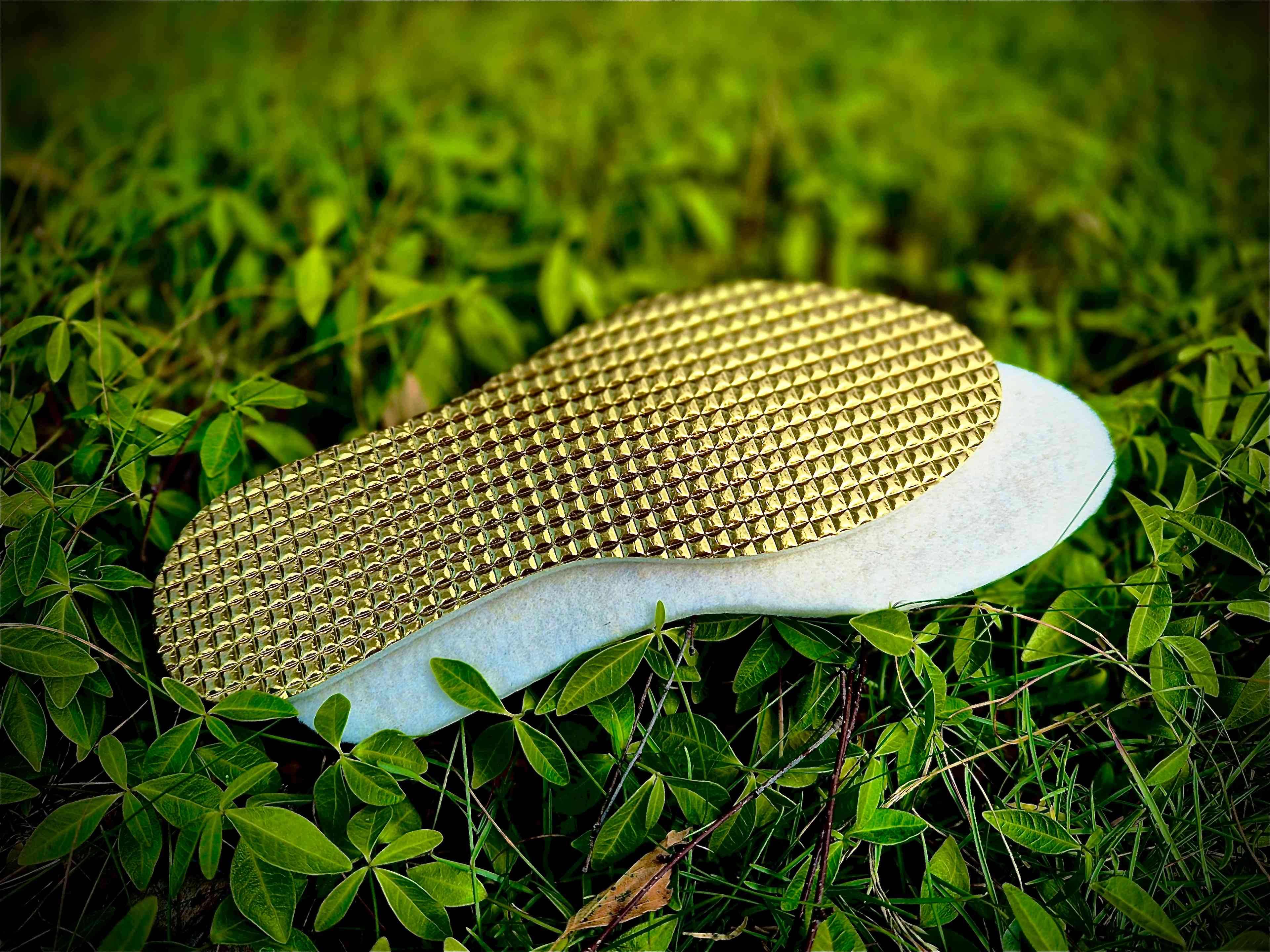 Insole